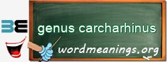 WordMeaning blackboard for genus carcharhinus